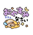 マルチーズみぃちゃん（個別スタンプ：25）