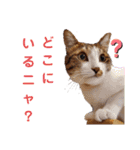 もこふく 2（個別スタンプ：9）