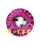 もこふく 2（個別スタンプ：10）