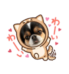 無敵わんちゃんSERA③（個別スタンプ：7）