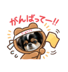 無敵わんちゃんSERA③（個別スタンプ：9）