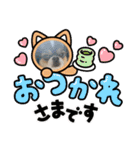 無敵わんちゃんSERA③（個別スタンプ：16）