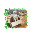アイスキューブ今日の天気と気分（個別スタンプ：3）