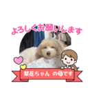 アイスキューブ今日の天気と気分（個別スタンプ：4）