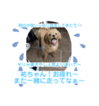 アイスキューブ今日の天気と気分（個別スタンプ：8）