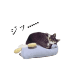 わらにすた（個別スタンプ：5）