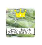 畑活、ハタカツ（個別スタンプ：1）