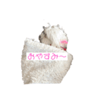 マルチーズのるるとまる（個別スタンプ：3）