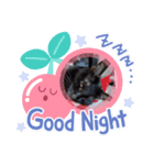 はっぴ～にゃんず（個別スタンプ：4）