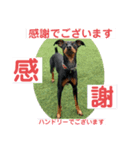 ハンドリーの日常②（個別スタンプ：2）