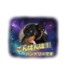 ハンドリーの日常②（個別スタンプ：3）