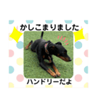ハンドリーの日常②（個別スタンプ：4）