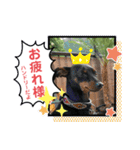 ハンドリーの日常②（個別スタンプ：7）