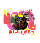 ハンドリーの日常②（個別スタンプ：8）
