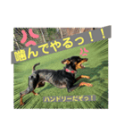 ハンドリーの日常②（個別スタンプ：9）