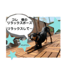 ハンドリーの日常②（個別スタンプ：10）