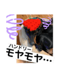 ハンドリーの日常②（個別スタンプ：12）
