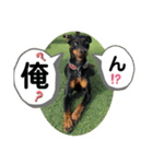 ハンドリーの日常②（個別スタンプ：13）