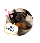 ハンドリーの日常②（個別スタンプ：16）