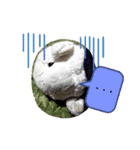 メーメーちゃんとクマさん（個別スタンプ：12）