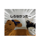 メーメーちゃんとクマさん（個別スタンプ：15）