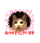 あずゆん2（個別スタンプ：1）