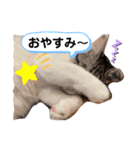 あずゆん2（個別スタンプ：2）