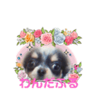 どうぶつと犬1（個別スタンプ：1）