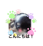 どうぶつと犬1（個別スタンプ：2）