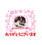 どうぶつと犬1（個別スタンプ：5）