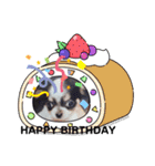 どうぶつと犬1（個別スタンプ：13）
