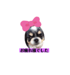 どうぶつと犬1（個別スタンプ：18）