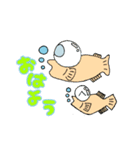 ☆めだか生活☆（個別スタンプ：1）