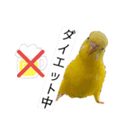 たまとなかまたち3（個別スタンプ：5）