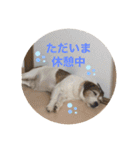 パーソンラッセルのジュリアス（個別スタンプ：2）