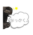 こるね と たると のスタンプ（個別スタンプ：6）