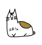可愛い工藤のぬこ（個別スタンプ：12）