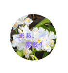kinko_写真4（個別スタンプ：5）