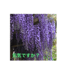 kinko_写真4（個別スタンプ：8）