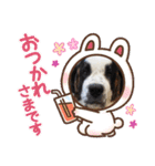 サクラ.（個別スタンプ：9）