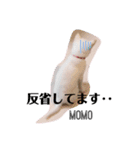 ハリやまくん大成功です！（個別スタンプ：6）