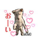 ハリやまくん大成功です！（個別スタンプ：13）