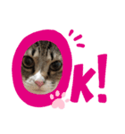 ネコのミミさん（個別スタンプ：12）