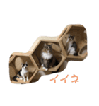 デブしかいねぇ2（個別スタンプ：2）