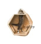 デブしかいねぇ2（個別スタンプ：5）