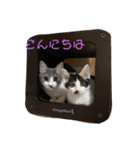 デブしかいねぇ2（個別スタンプ：6）