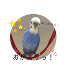 まるいインコのすたんぷ（個別スタンプ：2）