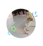 まるいインコのすたんぷ（個別スタンプ：3）