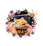 マロン☆♪（個別スタンプ：1）
