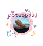マロン☆♪（個別スタンプ：3）